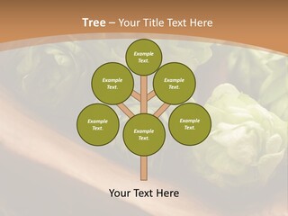 Beer Hop Medicine PowerPoint Template