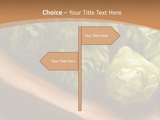 Beer Hop Medicine PowerPoint Template