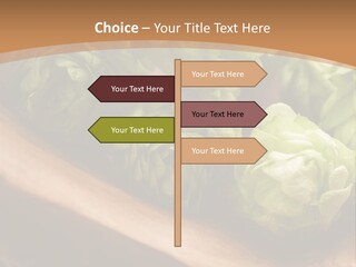 Beer Hop Medicine PowerPoint Template