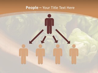 Beer Hop Medicine PowerPoint Template