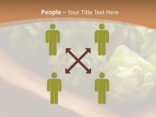 Beer Hop Medicine PowerPoint Template