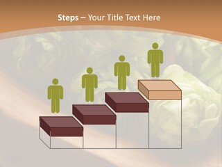 Beer Hop Medicine PowerPoint Template