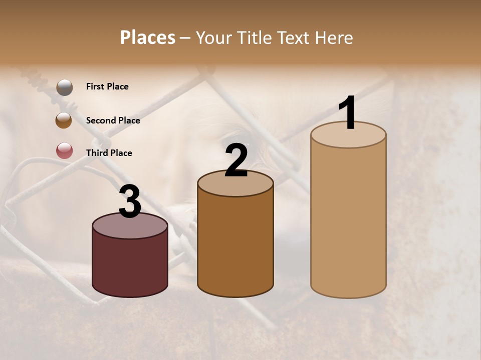 Nose One Lonely PowerPoint Template