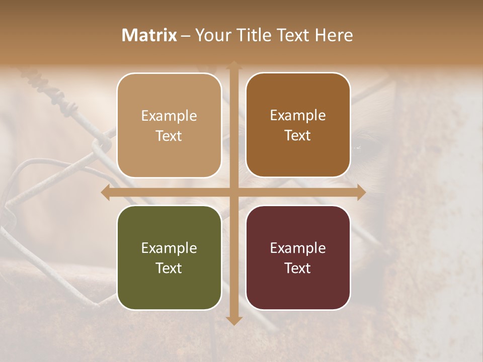 Nose One Lonely PowerPoint Template