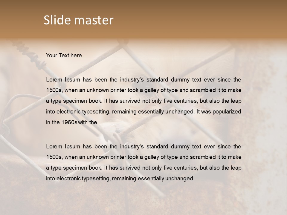 Nose One Lonely PowerPoint Template