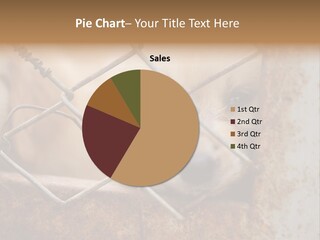 Nose One Lonely PowerPoint Template