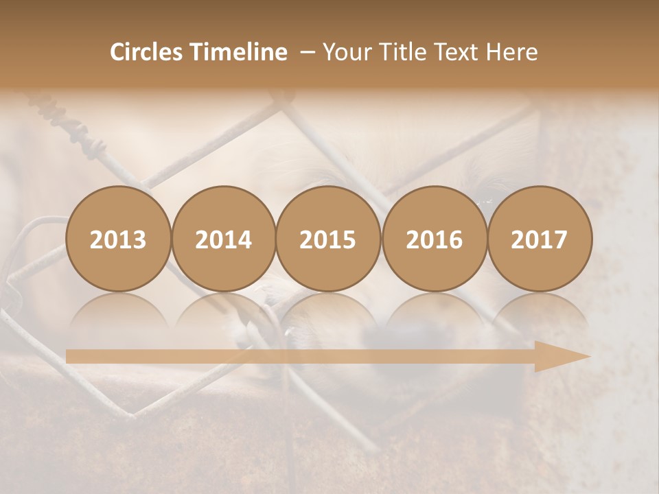 Nose One Lonely PowerPoint Template