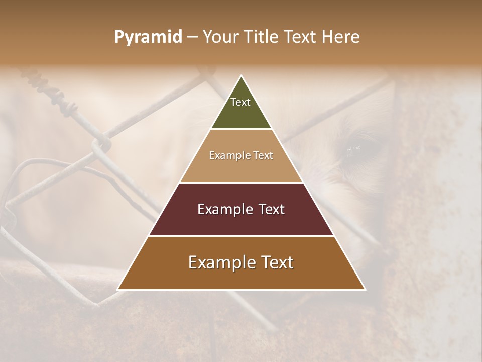 Nose One Lonely PowerPoint Template