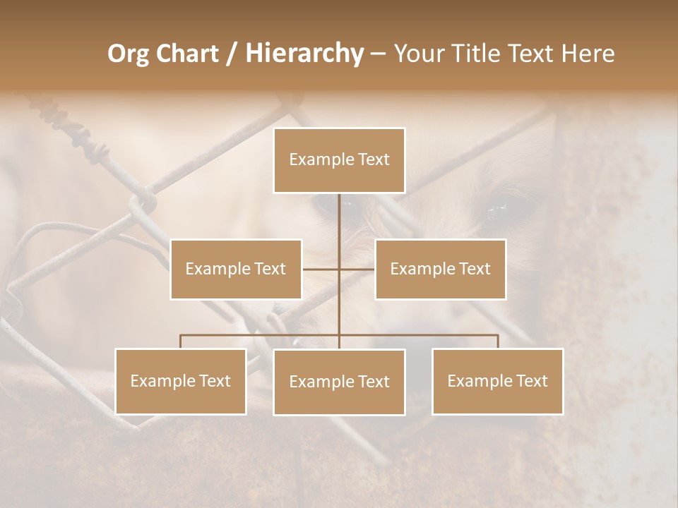 Nose One Lonely PowerPoint Template