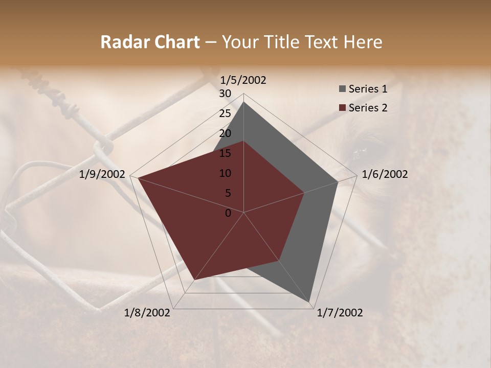 Nose One Lonely PowerPoint Template