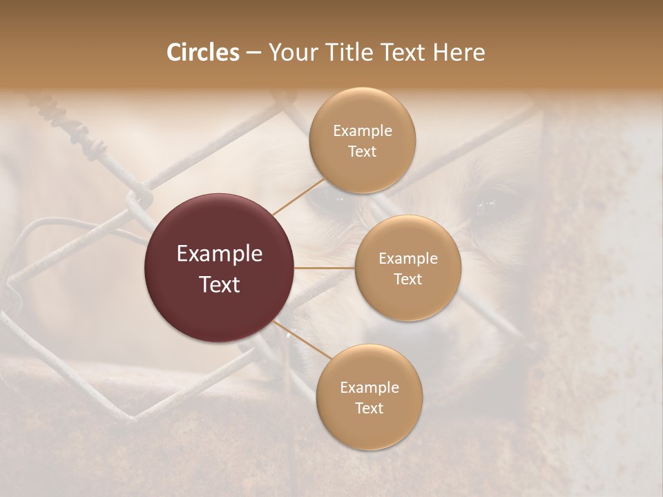 Nose One Lonely PowerPoint Template