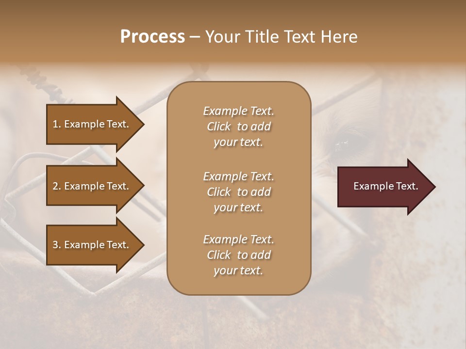 Nose One Lonely PowerPoint Template