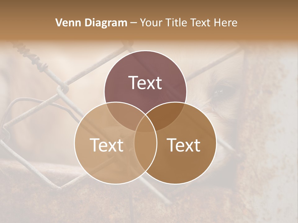 Nose One Lonely PowerPoint Template