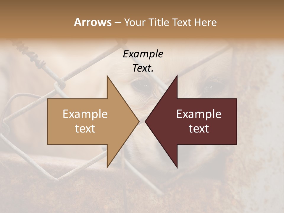 Nose One Lonely PowerPoint Template