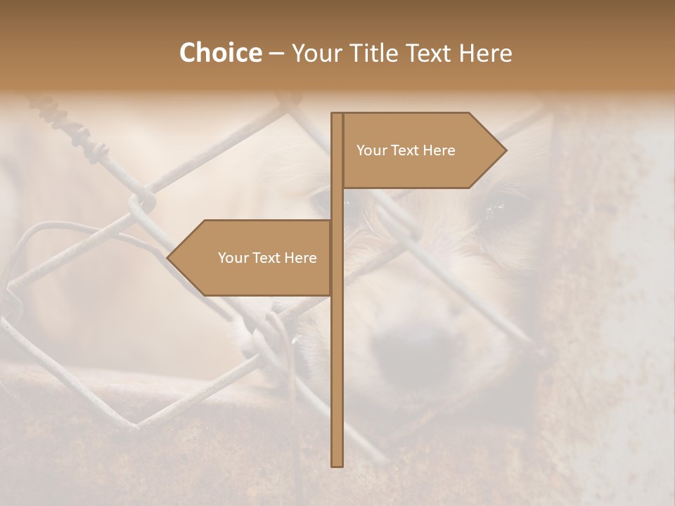 Nose One Lonely PowerPoint Template