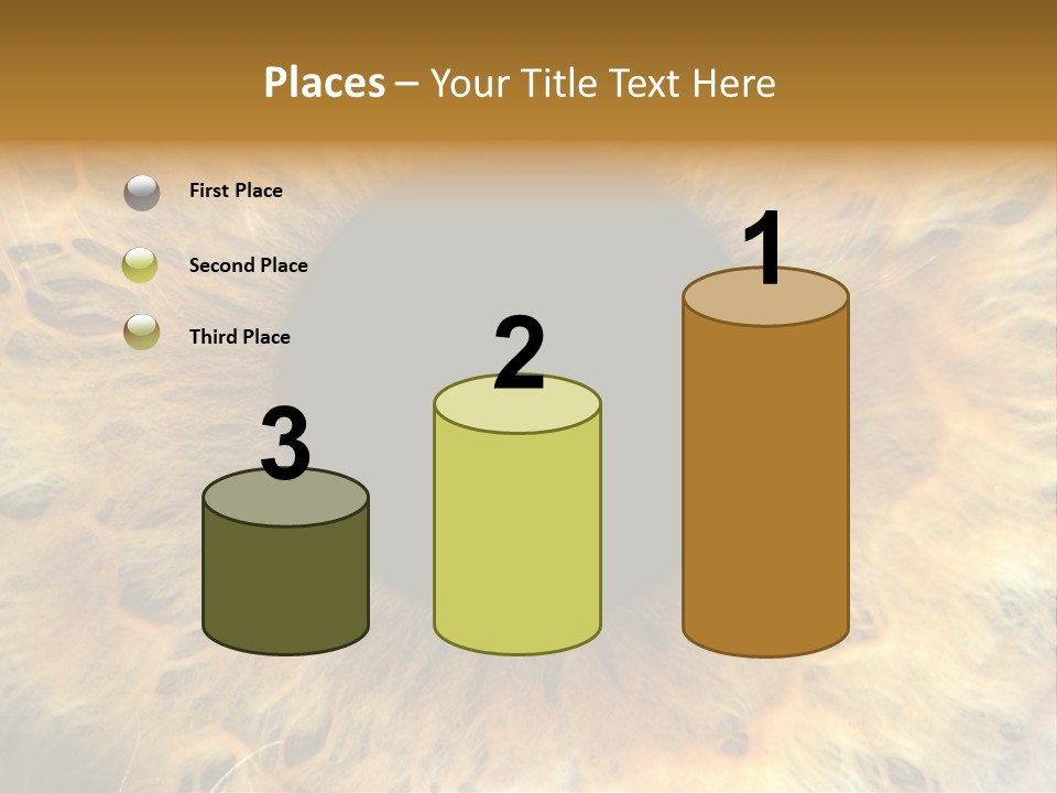 Ornament Isolated Object PowerPoint Template