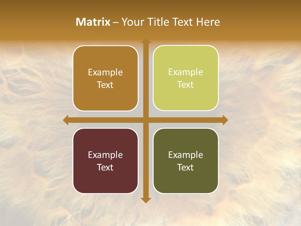 Ornament Isolated Object PowerPoint Template