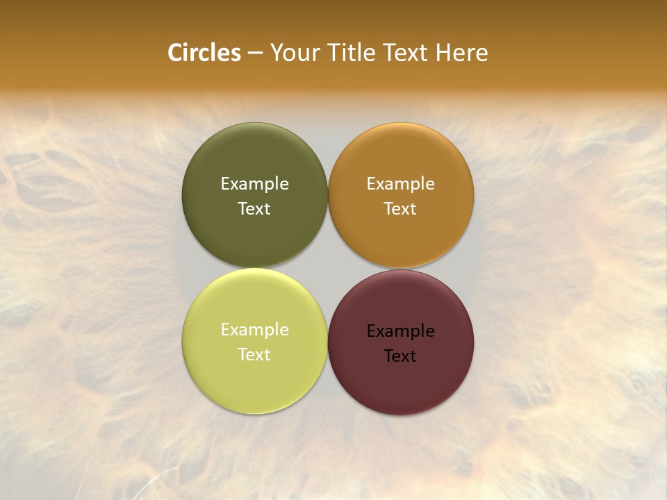 Ornament Isolated Object PowerPoint Template