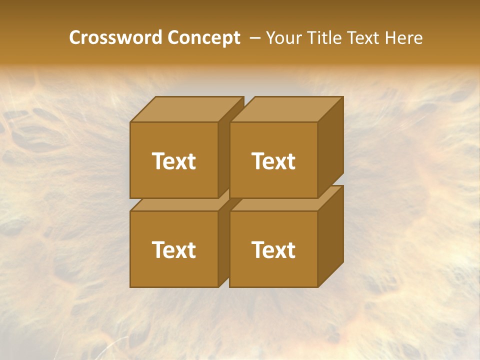 Ornament Isolated Object PowerPoint Template