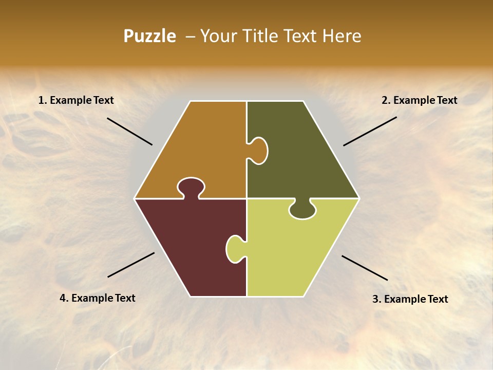 Ornament Isolated Object PowerPoint Template