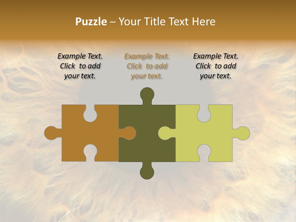 Ornament Isolated Object PowerPoint Template