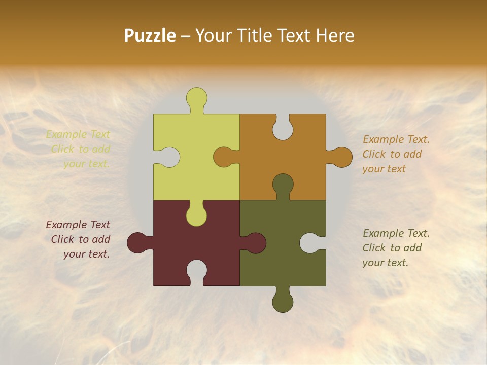 Ornament Isolated Object PowerPoint Template