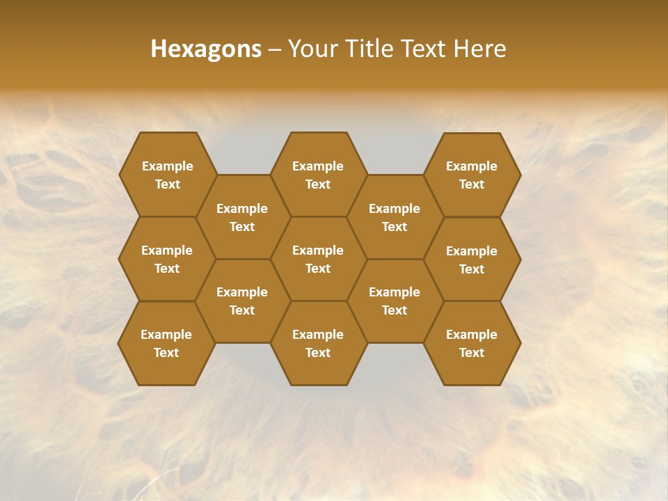 Ornament Isolated Object PowerPoint Template