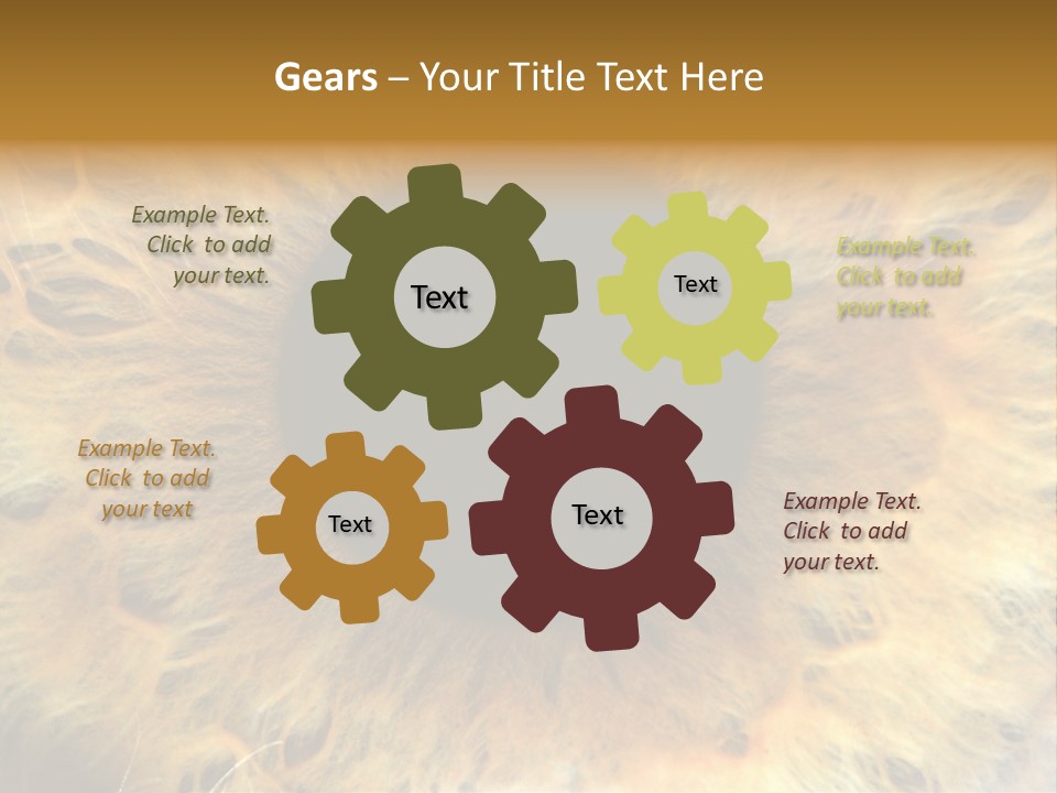 Ornament Isolated Object PowerPoint Template