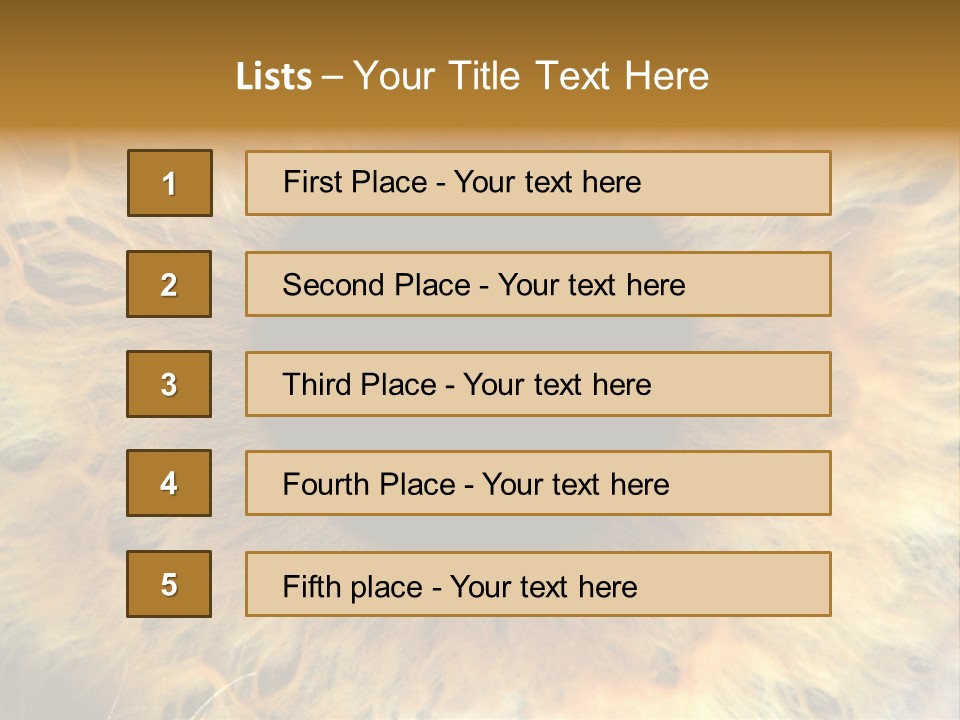 Ornament Isolated Object PowerPoint Template