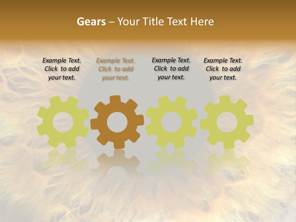 Ornament Isolated Object PowerPoint Template