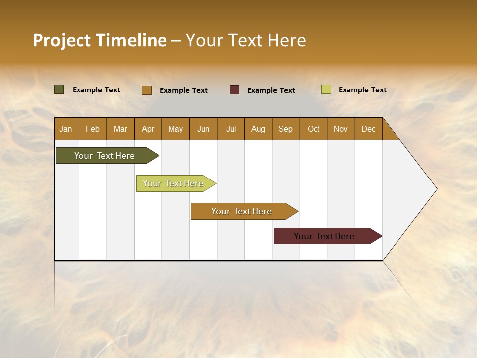 Ornament Isolated Object PowerPoint Template