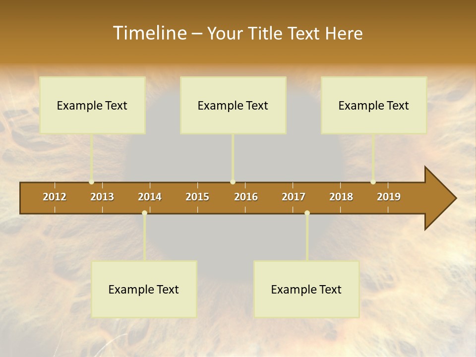 Ornament Isolated Object PowerPoint Template