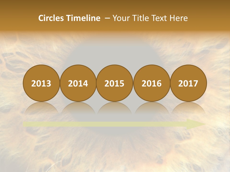 Ornament Isolated Object PowerPoint Template