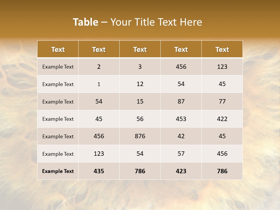 Ornament Isolated Object PowerPoint Template