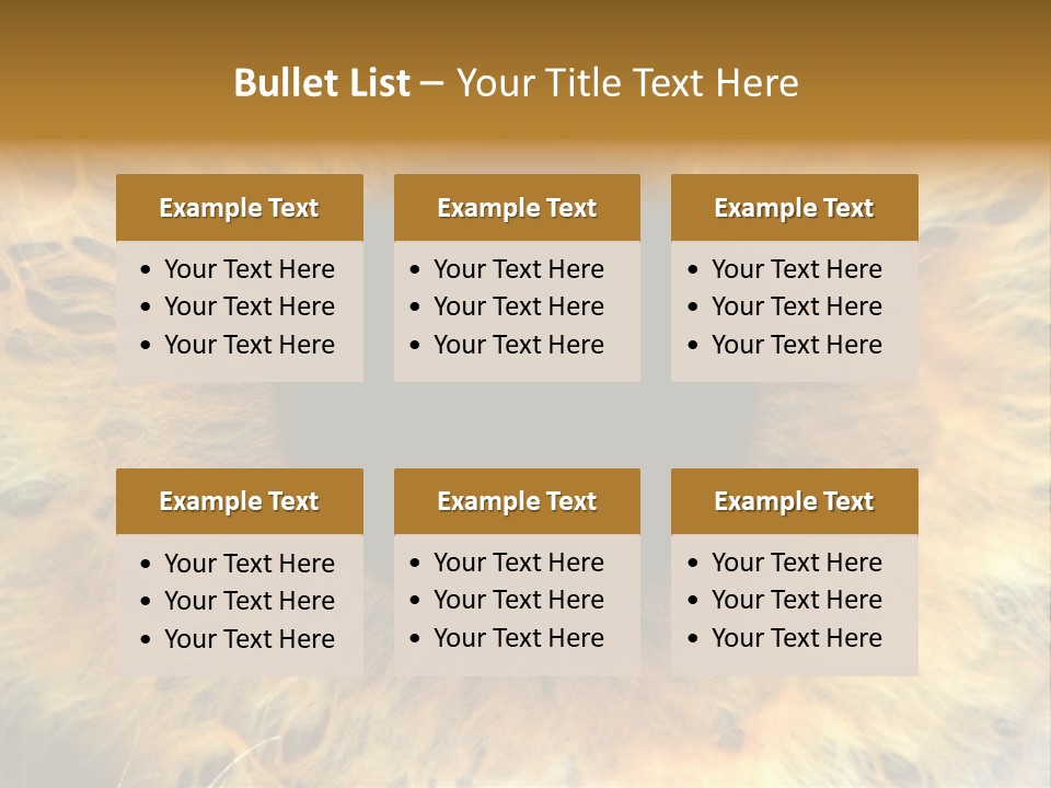 Ornament Isolated Object PowerPoint Template