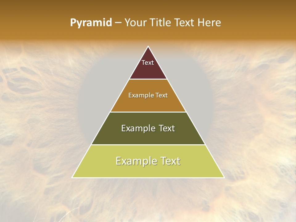 Ornament Isolated Object PowerPoint Template