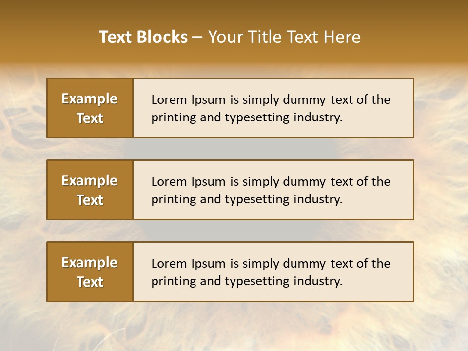 Ornament Isolated Object PowerPoint Template