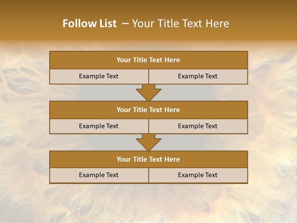 Ornament Isolated Object PowerPoint Template