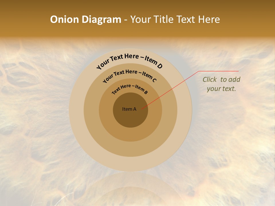 Ornament Isolated Object PowerPoint Template