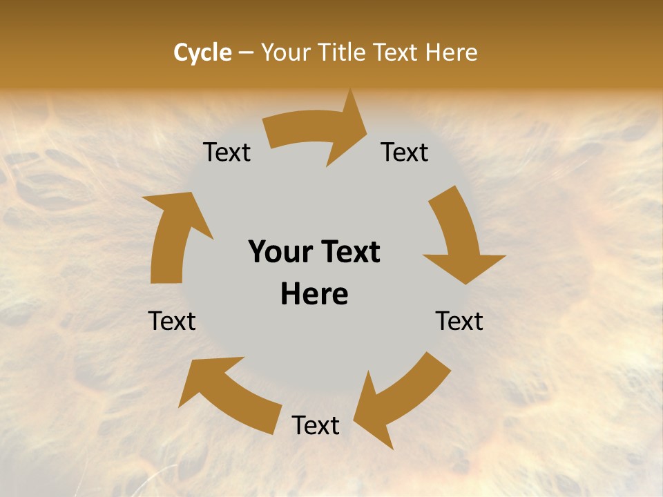 Ornament Isolated Object PowerPoint Template