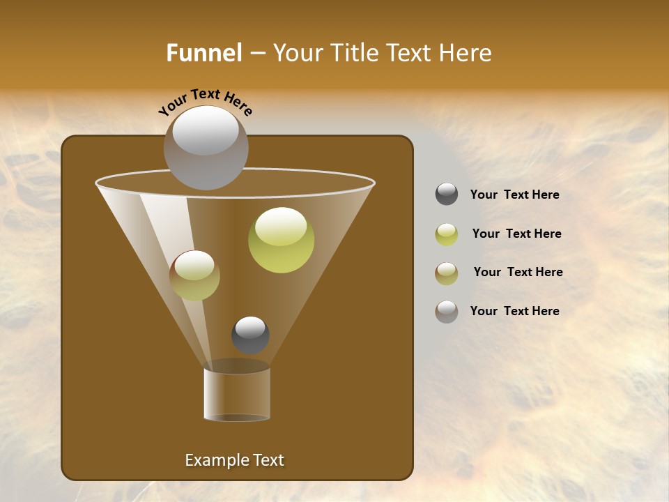Ornament Isolated Object PowerPoint Template
