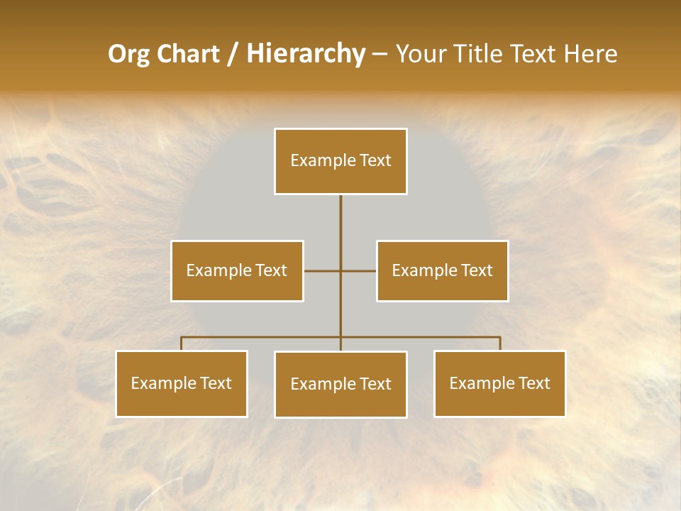 Ornament Isolated Object PowerPoint Template