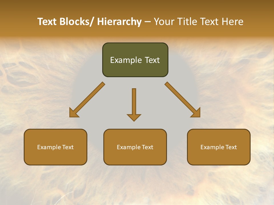 Ornament Isolated Object PowerPoint Template