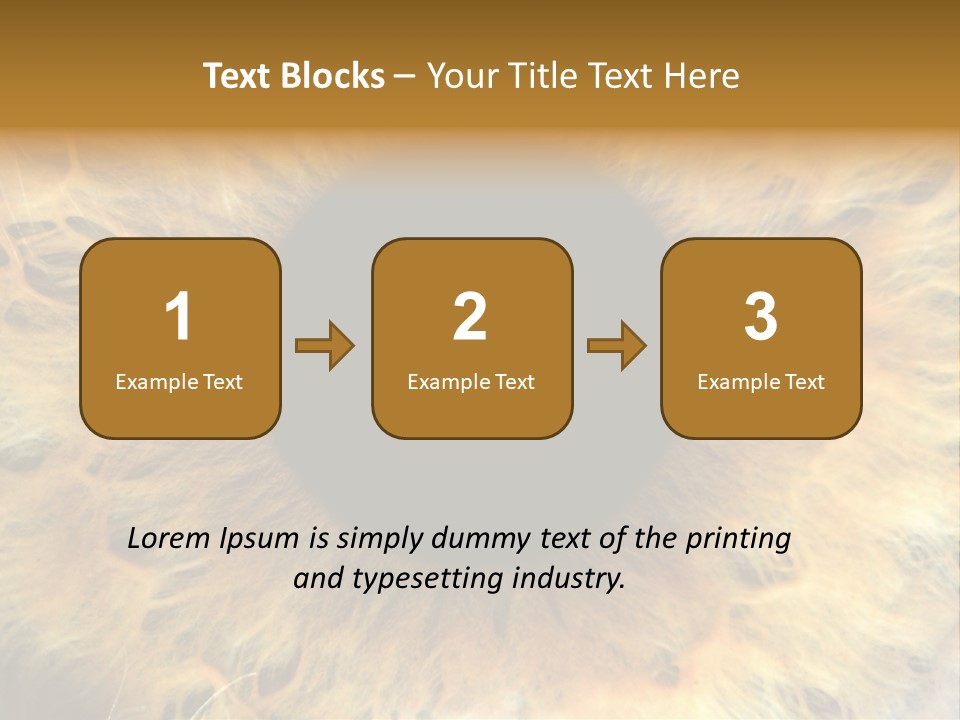 Ornament Isolated Object PowerPoint Template