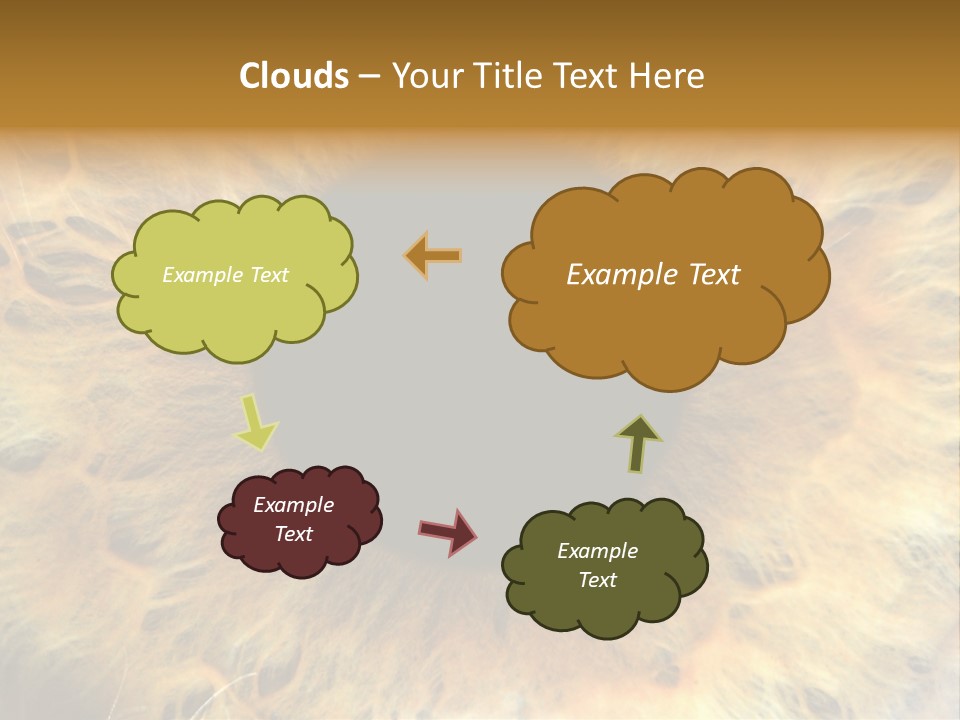 Ornament Isolated Object PowerPoint Template