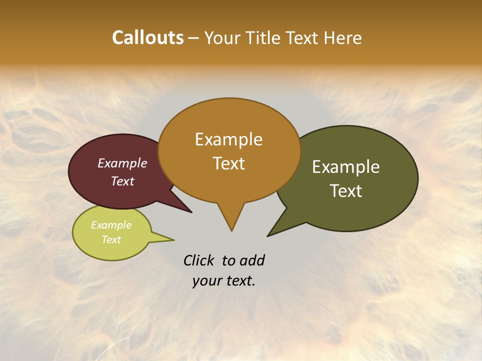 Ornament Isolated Object PowerPoint Template