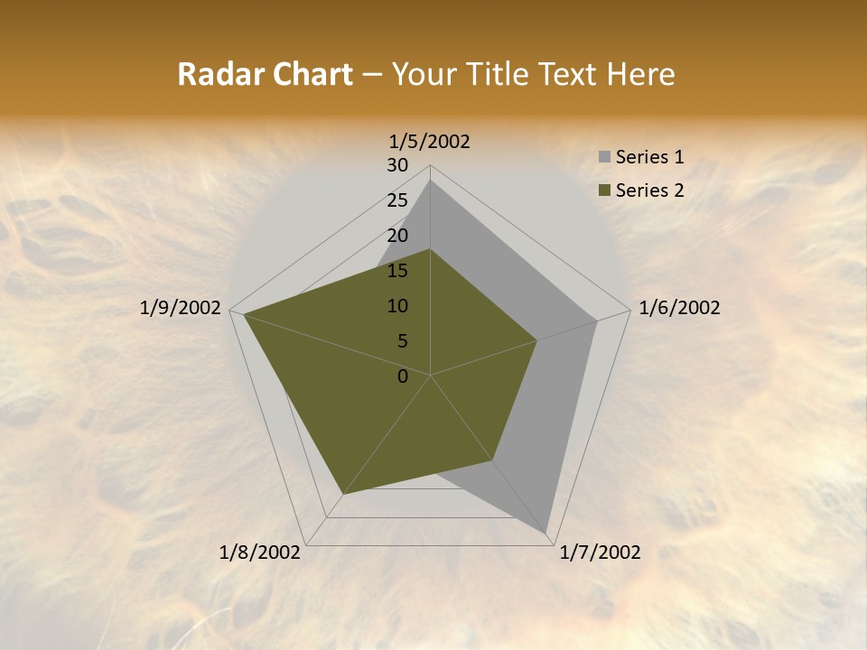 Ornament Isolated Object PowerPoint Template