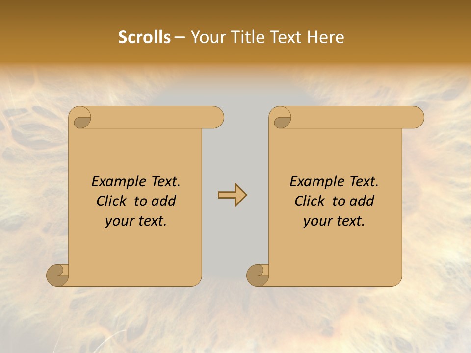 Ornament Isolated Object PowerPoint Template