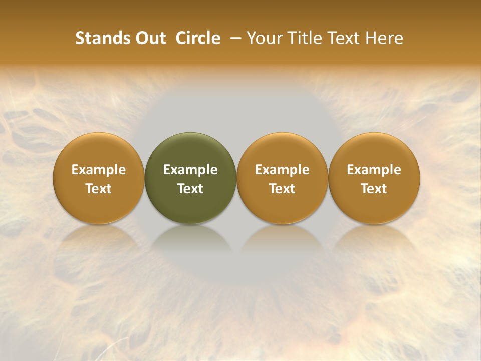 Ornament Isolated Object PowerPoint Template