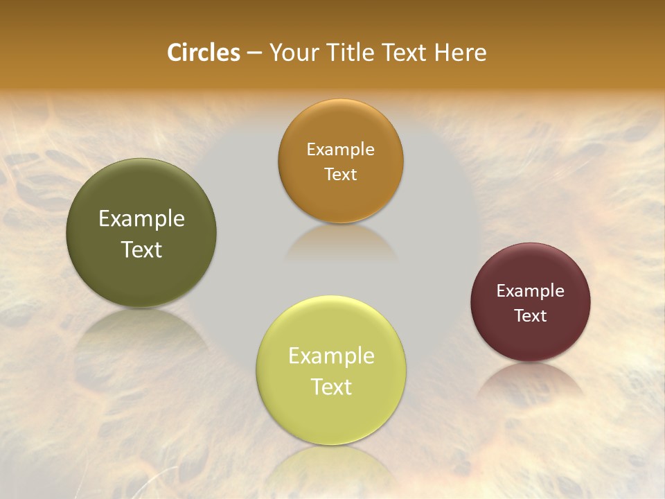 Ornament Isolated Object PowerPoint Template